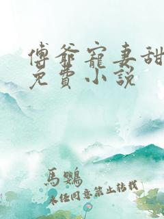 傅爷宠妻甜入骨免费小说