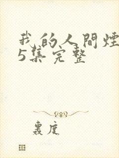 我的人间烟火45集完整