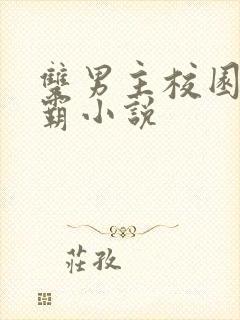 双男主校园双学霸小说