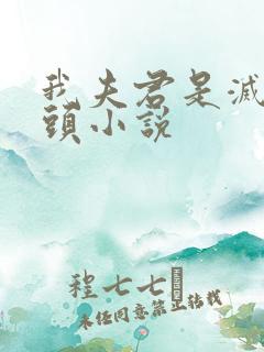 我夫君是灭世魔头小说