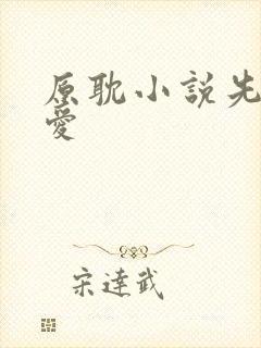 原耽小说先婚后爱