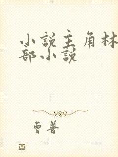 小说主角林凡全部小说