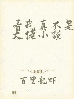 看我真不是女装大佬小说