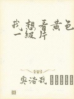 我想看黄色国产一级片