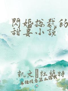 闪婚总裁的契约甜妻小说