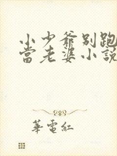 小少爷别跑乖乖当老婆小说免费阅读