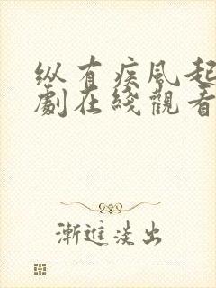 纵有疾风起电视剧在线观看完整版