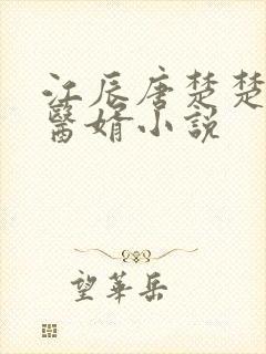 江辰唐楚楚龙王医婿小说