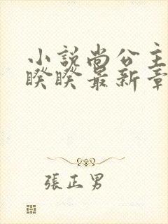 小说尚公主伊人睽睽最新章节目录