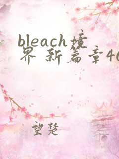 bleach境界 新篇章46集免费观看