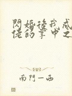 闪婚后我成了大佬的掌中之物25