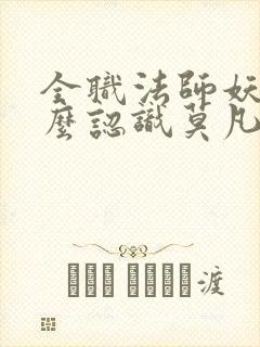 全职法师妖男怎么认识莫凡的