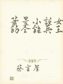 萧晨小说女总裁的全能兵王