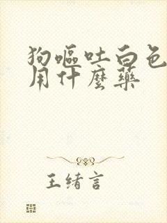 狗呕吐白色泡沫用什么药