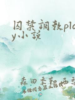 囚禁调教play小说