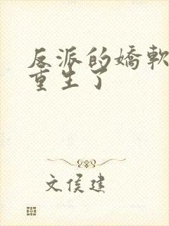 反派的娇软美人重生了