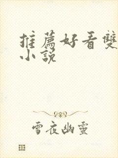 推荐好看双男主小说