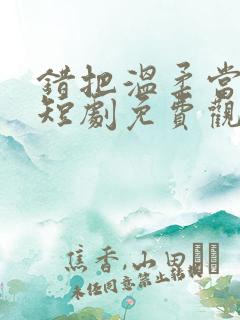 错把温柔当深情短剧免费观看全集