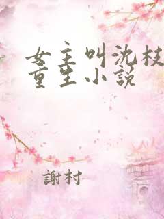 女主叫沈枝意的重生小说