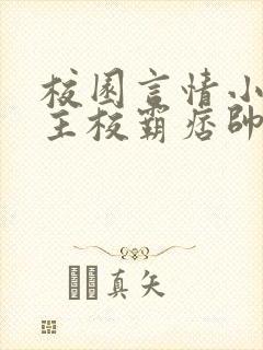 校园言情小说男主校霸痞帅