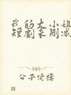 我的大小姐老婆短剧未删减