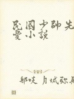 民国少帅先婚后爱小说