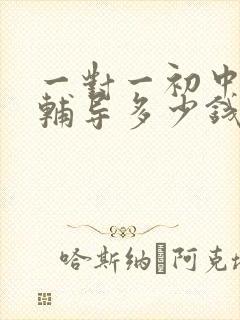 一对一初中数学辅导多少钱