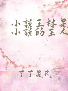 小说王林是哪本小说的主人公