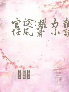 官途:权力巅峰任风萧 小说