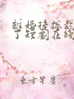 离婚后总裁后悔了短剧在线观看