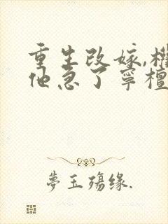 重生改嫁,权臣他急了宁檀宗俭最新章节