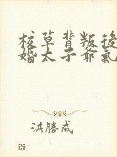 校草背叛后我闪婚太子爷气疯他苏念笙免费