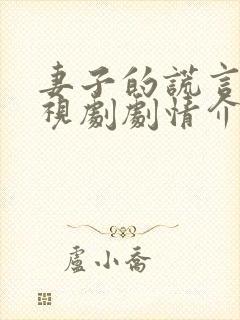 妻子的谎言 电视剧剧情介绍