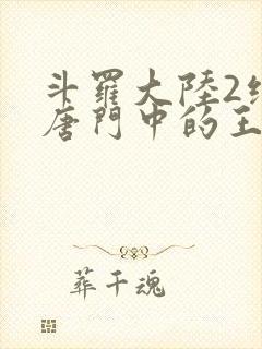 斗罗大陆2绝世唐门中的王冬
