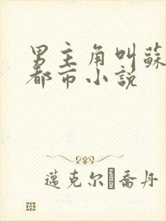 男主角叫苏凡的都市小说