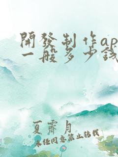 开发制作app一般多少钱