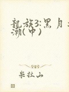 龙族3:黑月之潮(中)