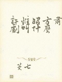 许惟昭方肃礼短剧叫什么