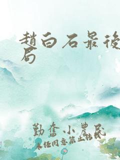 赵白石最后的结局