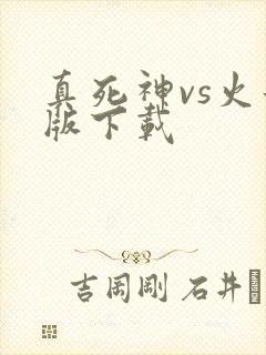 真死神vs火影版下载