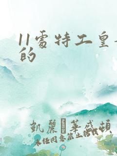11处特工皇妃的