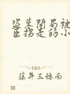 盗墓开局被解雨臣拐走的小说