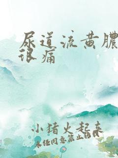 尿道流黄脓小便很痛