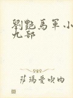 刘艳马军小说第九部