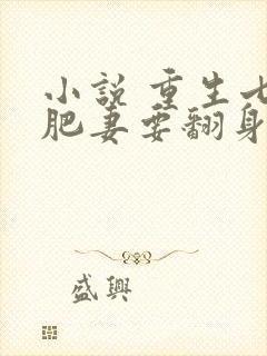 小说 重生七零肥妻要翻身