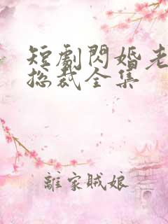 短剧闪婚老公是总裁全集