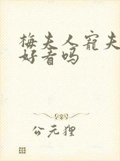 梅夫人宠夫日常好看吗