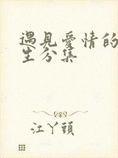 遇见爱情的利先生分集