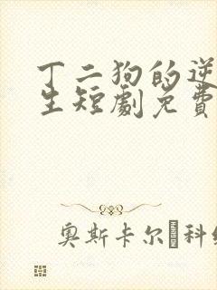 丁二狗的逆袭人生短剧免费