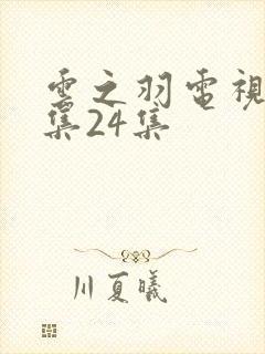 云之羽电视剧全集24集